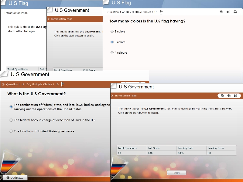 Quizzes US Government GREAT SOCIAL STUDIES